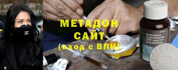 индика Алексин