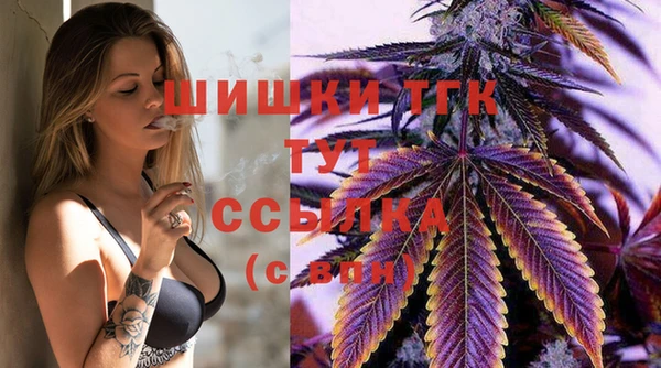 гашик Арсеньев