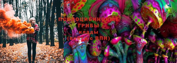 спайс Медвежьегорск