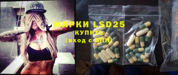 индика Алексин