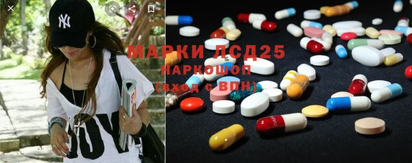 индика Алексин