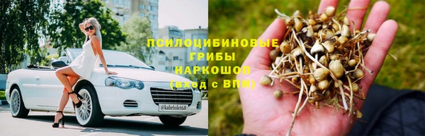 прущие крисы Армянск