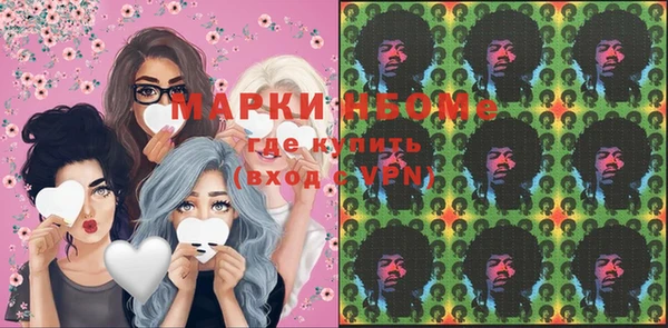 индика Алексин